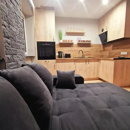 Rynek 23 Lux, Apartament Z Widokiem Na Ratusz Starego Miasta Gliwice Exterior photo
